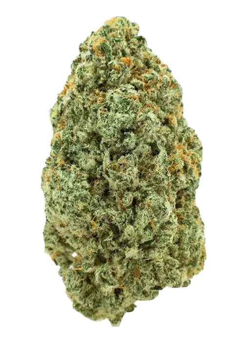 Suver Haze