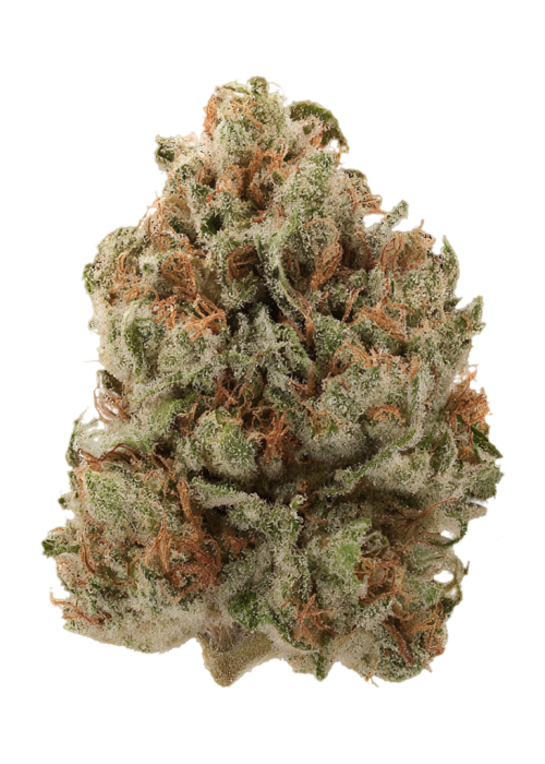 Banana Pie