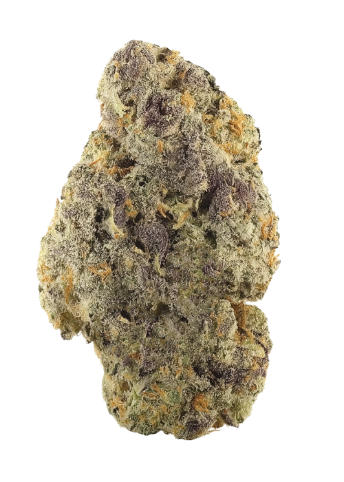 Pink Mango