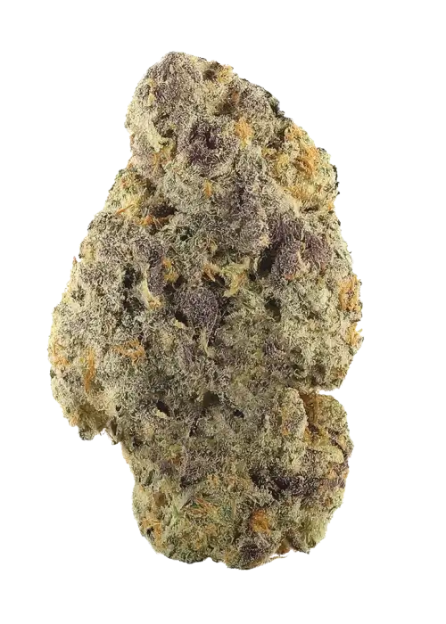 Pink Mango