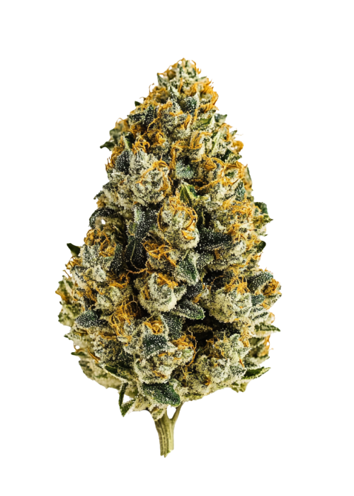 Sweet Kush