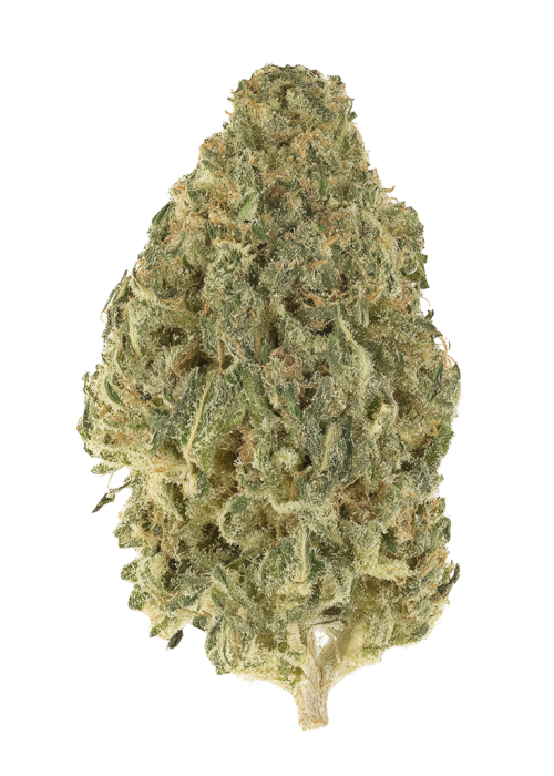 Fruit Bedrock
