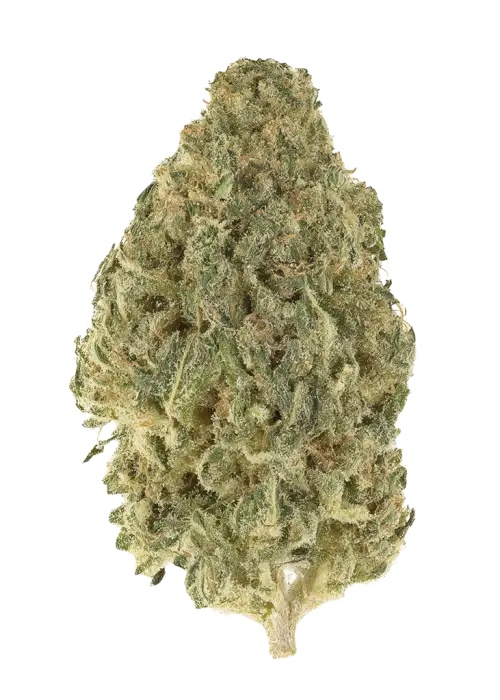 Fruit Bedrock