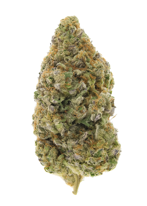 Key Lime Kush