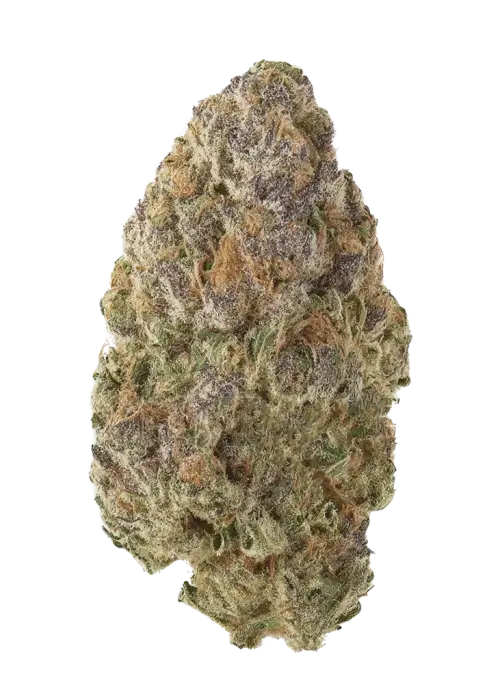 Purple Mountain Majesty