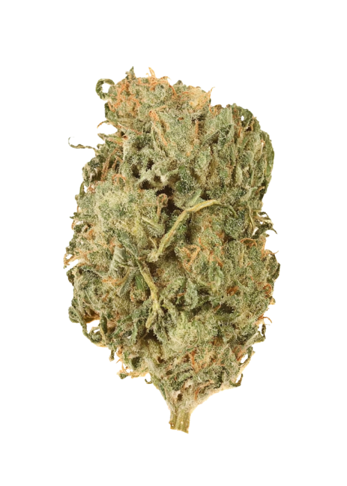 Flowerbomb Kush