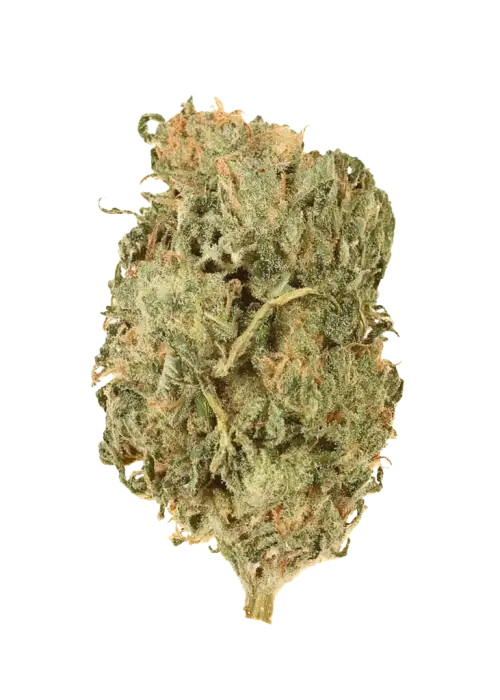 Flowerbomb Kush