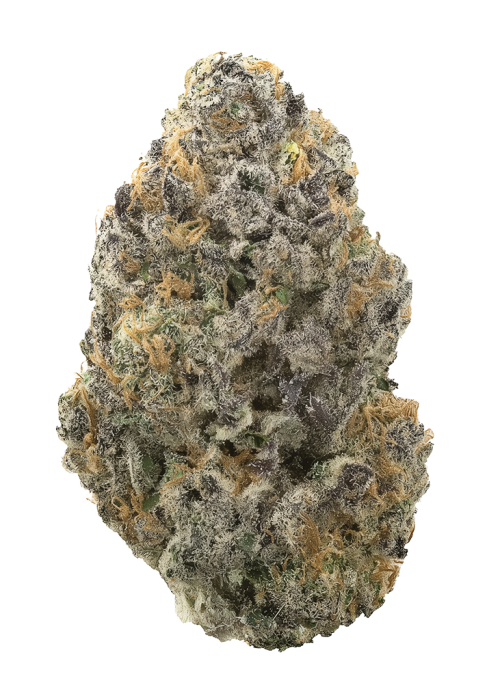 Pineapple Sorbet