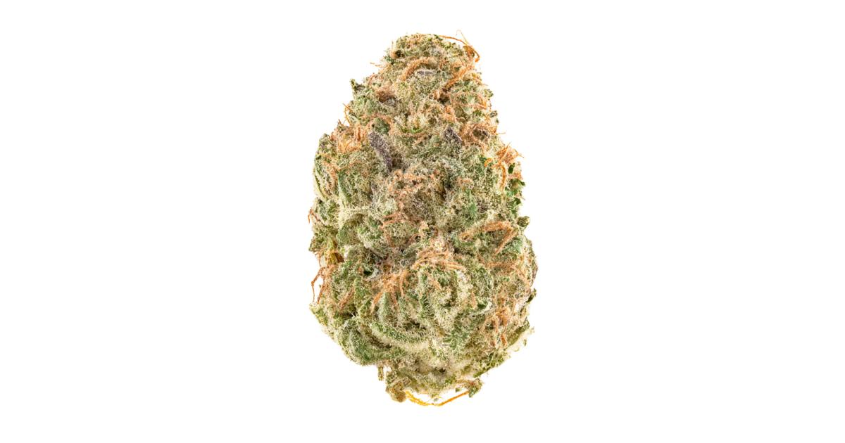 Bazooka Joe Cannabis Strain Information - GrowDiaries
