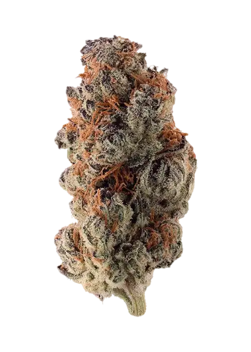 Watermelon Starburst