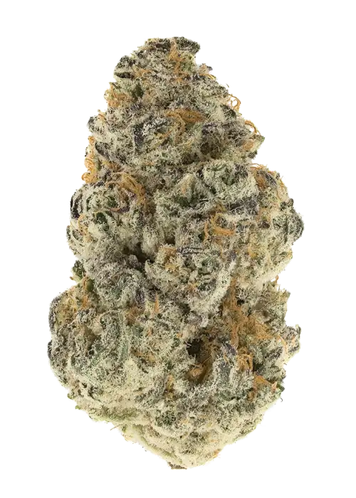 Guava Lava