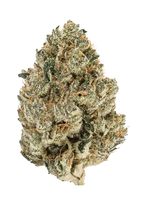 Grape Stomper
