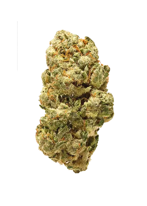 Jungle Scout Cookies