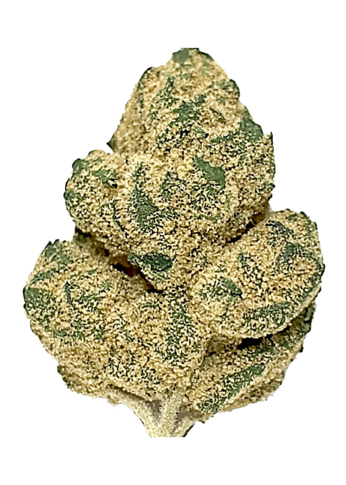 Jungle Scout Cookies