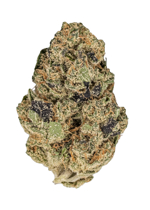 Guava Gelato