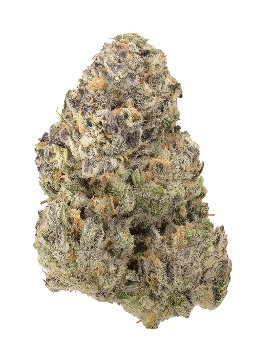Grapefruit Sour Dream