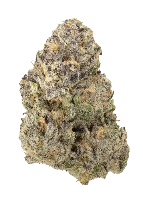 Grapefruit Sour Dream