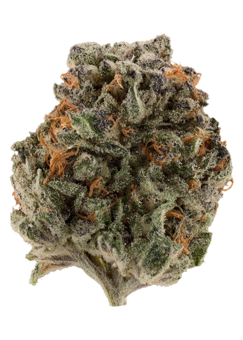 Blackwater OG