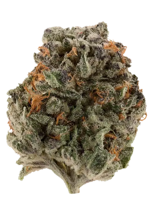 Blackwater OG