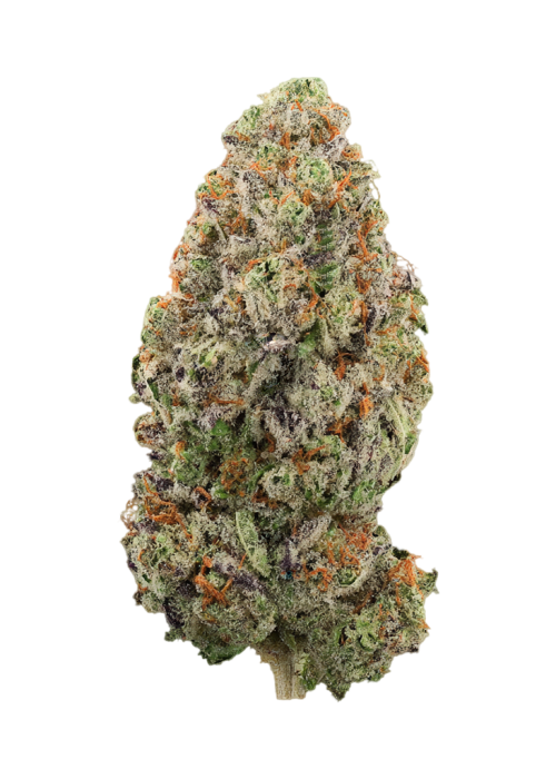 Frosted Melon Gelato