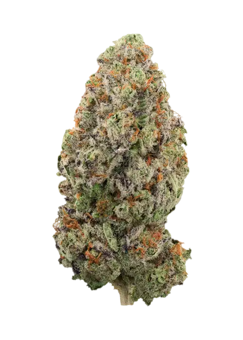 Frosted Melon Gelato
