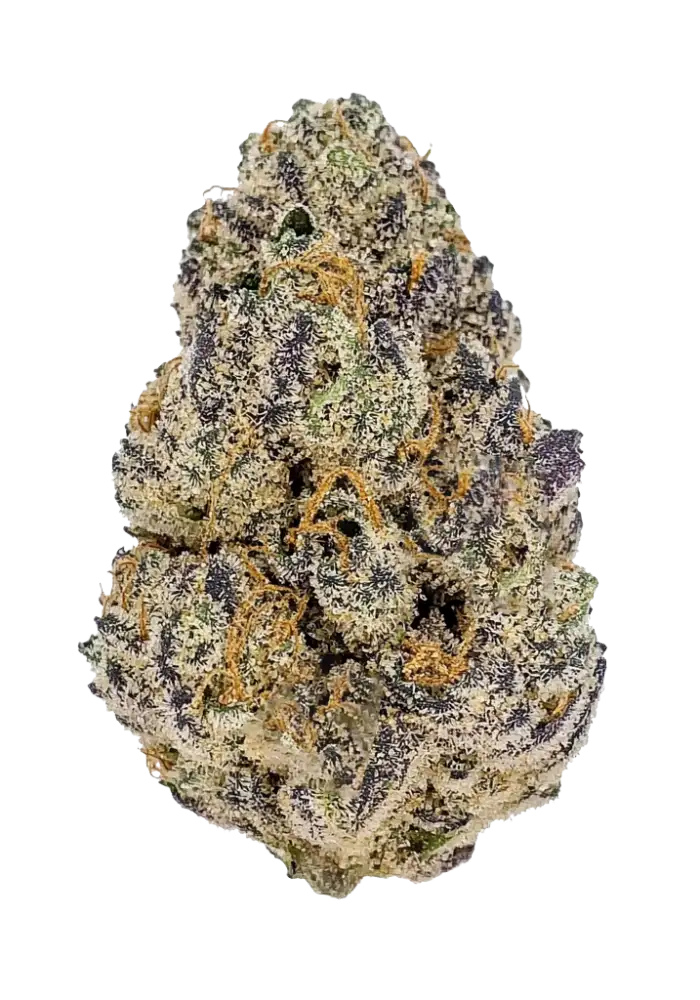 Black Cherry Punch