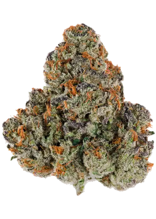 Dosi Pop
