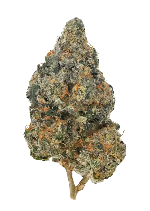 Grape Kool Aid