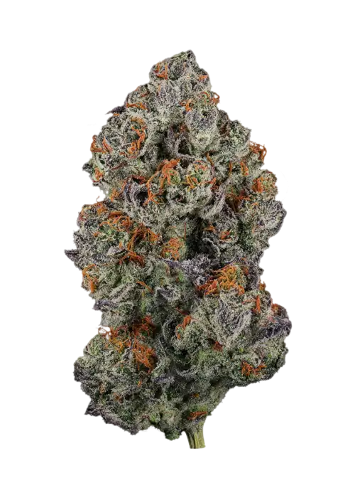 Viper Cookies