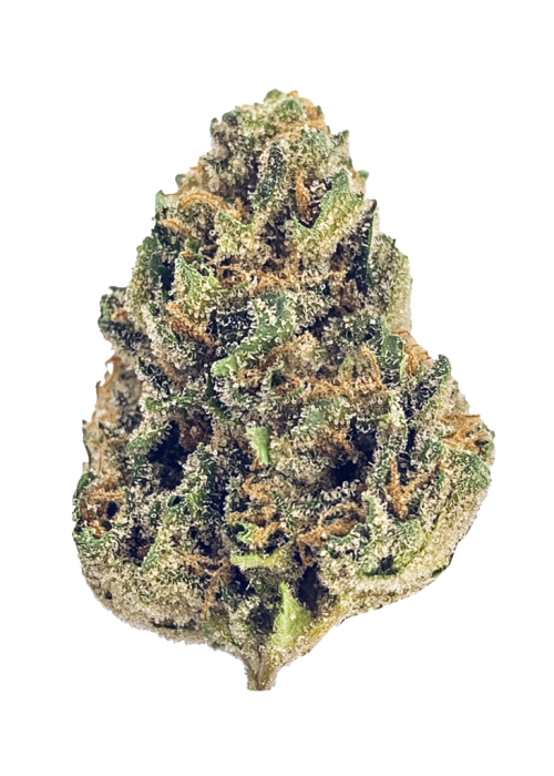 Blue Gelato