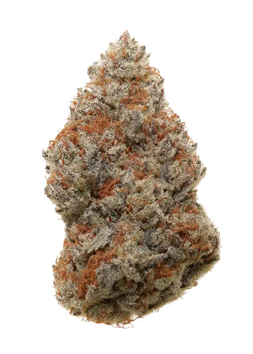White CBG