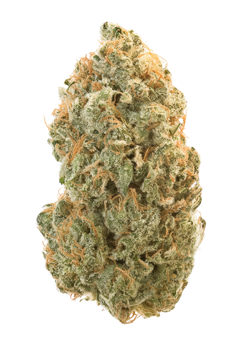 Lemon Mac
