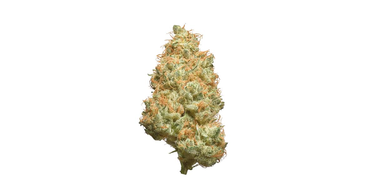 White Rabbit Cannabis Strain Information GrowDiaries