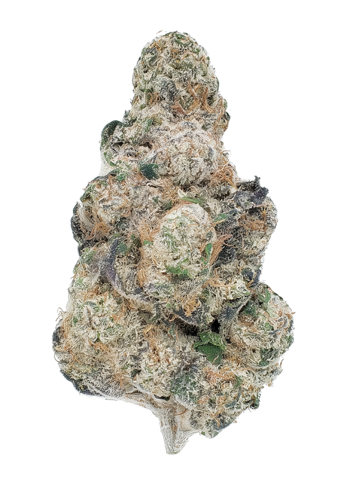 Dragon Berry