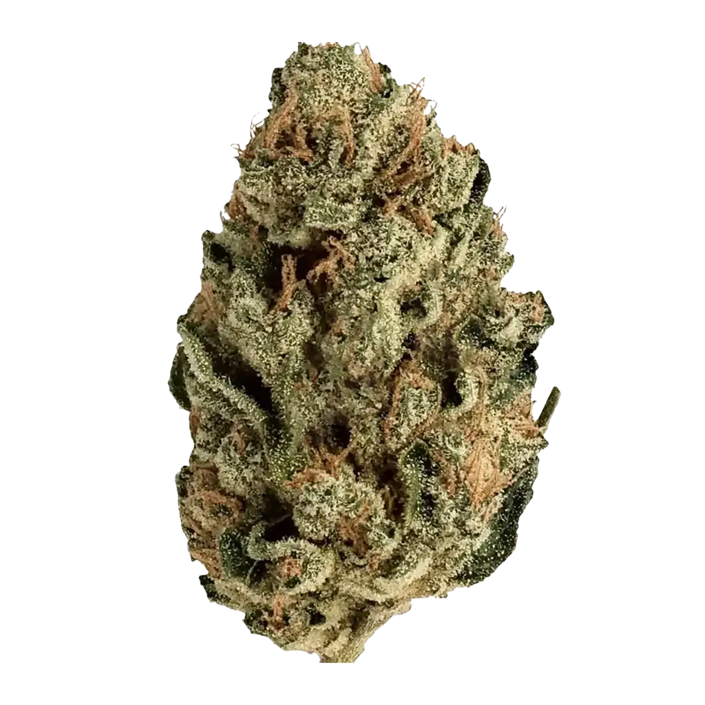 Your New Grand Theft Auto Online Butler Is a Hip-Hop Legend You Definitely  Know, image size:1024x1024