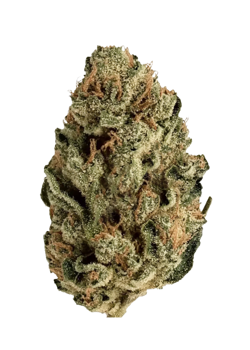 Snoop Dogg OG