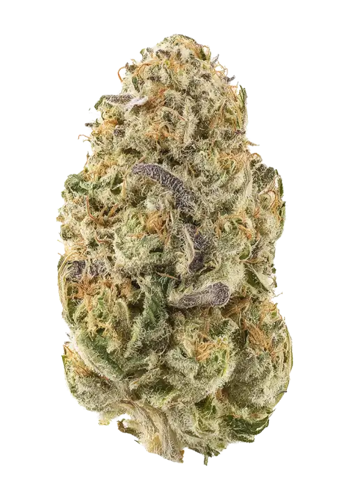 Space Cadet