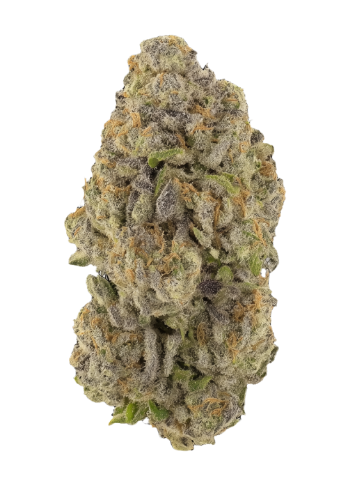Citrus Tsunami
