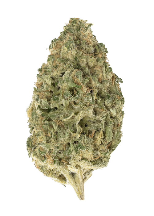 Powder Sugar