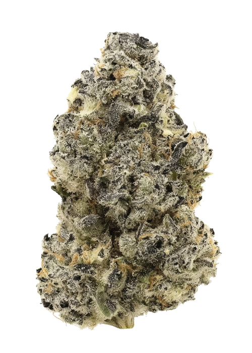 Gello Gelato