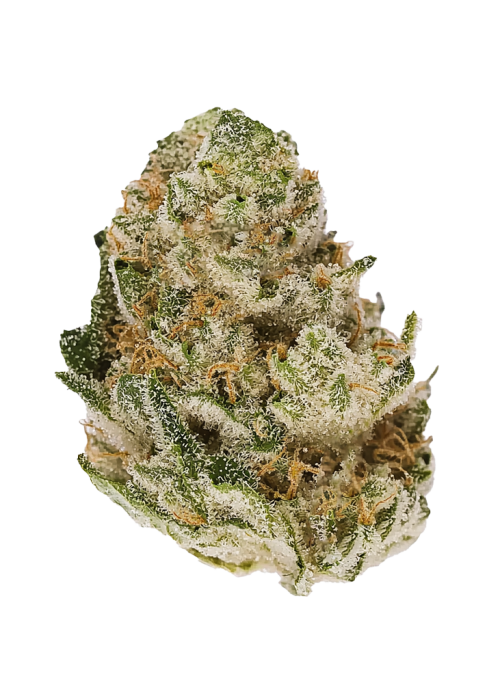 Snowball