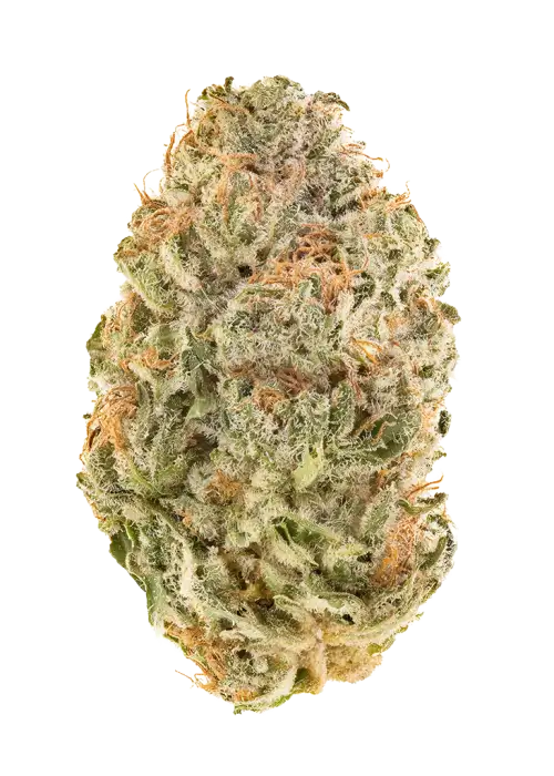 Orange Peel