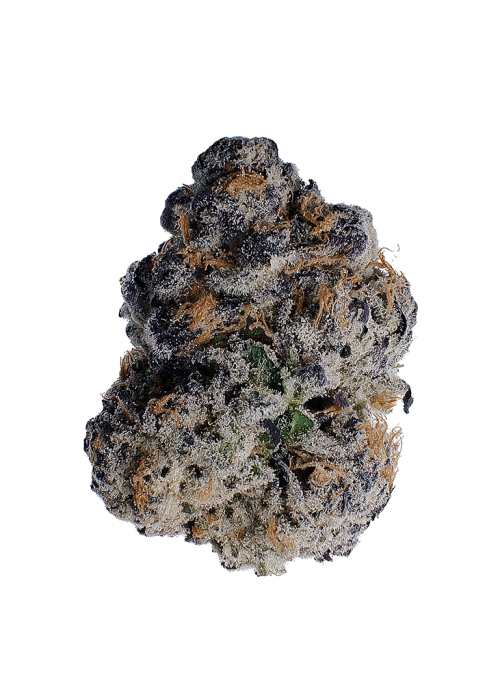 Samoas