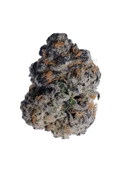 Samoas