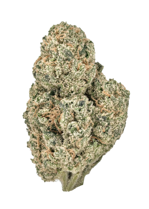 Tangerine Dream