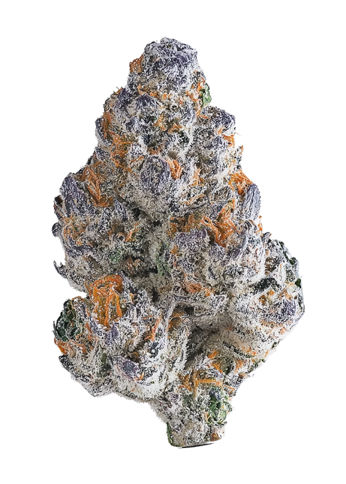 Frozay