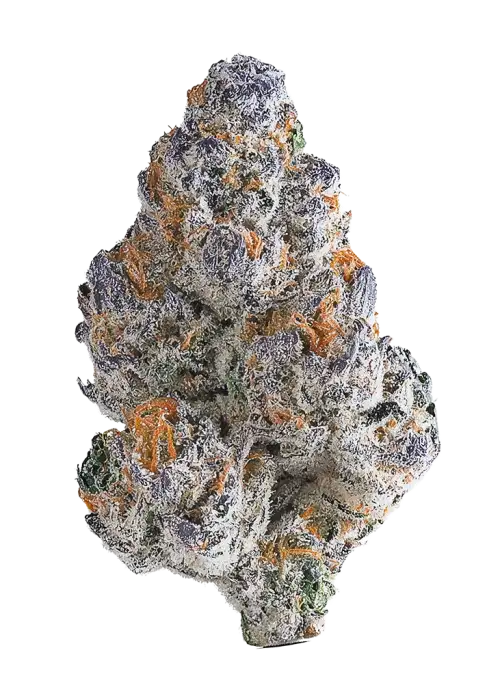 Frozay
