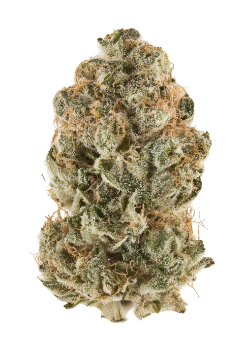 Fruit Salad