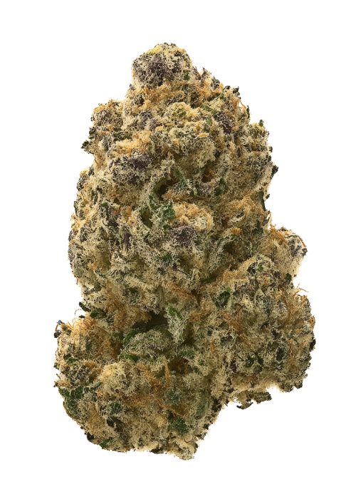 Monkey Paw