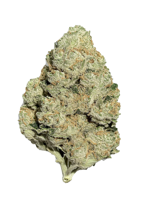 Lemon Cake
